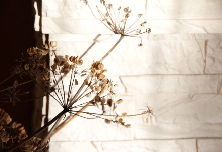 Nedēļas nogales pasākumi Cēsu novadā 27.02. – 01.03.